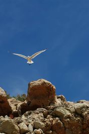 cala salada